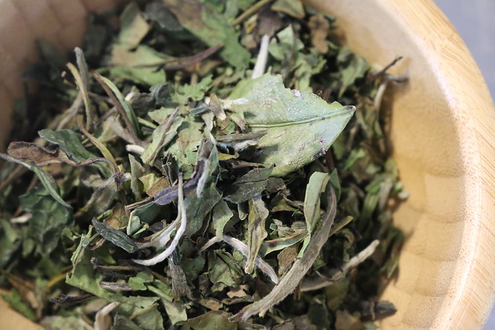 Teeprobe  Pai Mu Tan, Bio, 20g  (Weißer Tee aus China)