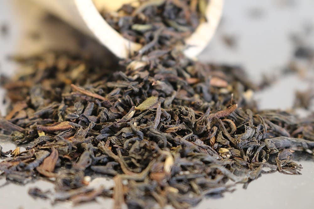 Earl Grey: TeeBlatt spezial (Darjeeling Tee mit einem Hauch Earl Grey)