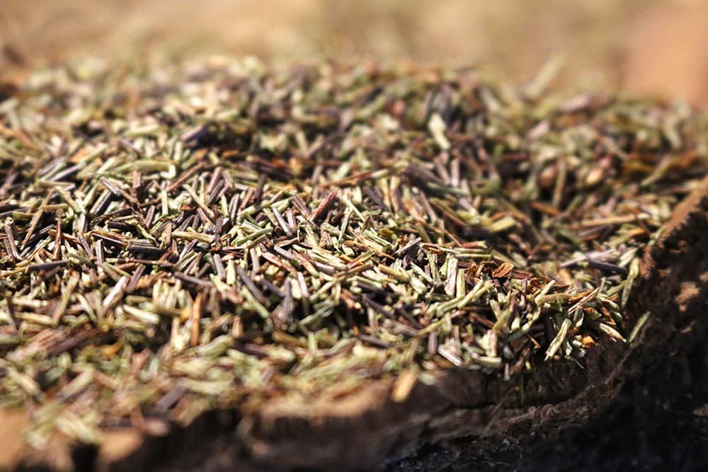gruener-rooibos-original-s Grüner Rooibos Original, Bio