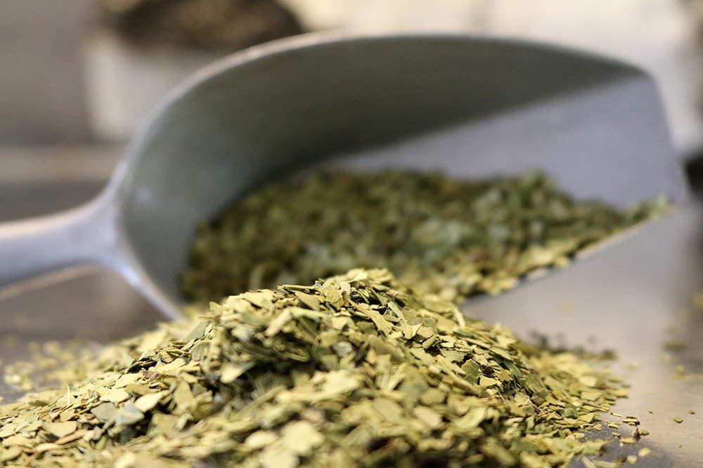 kraeutertee-mate-gruen-s Mate: Mate grün, geschnitten