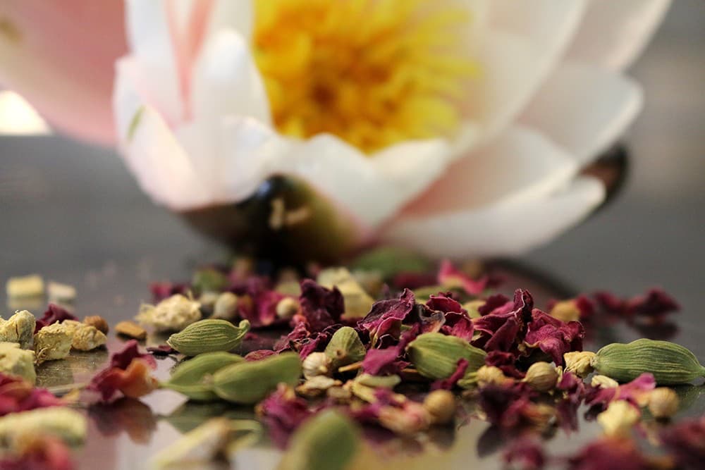 kraeutertee-pitta-s Ayurveda Tee: PITTA - Balance Tee, 100g (naturbelassen)