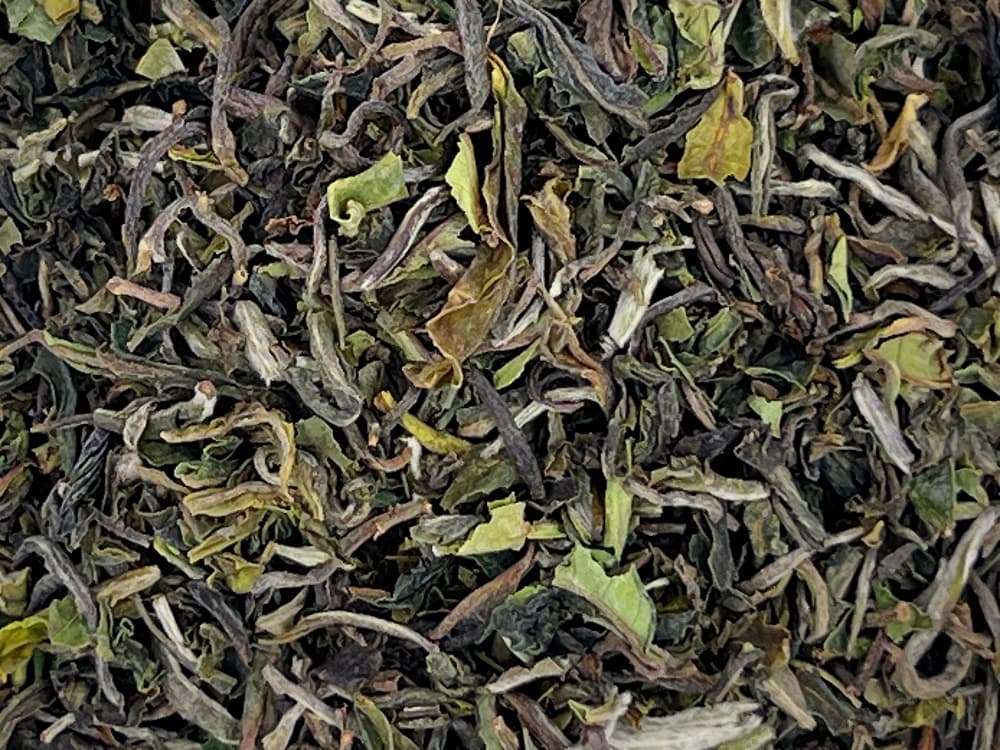 Darjeeling: Flugtee 2025 Risheehat, Bio (FTGFOP1) Darjeeling: Flugtee 2025 Risheehat, Bio (FTGFOP1)
