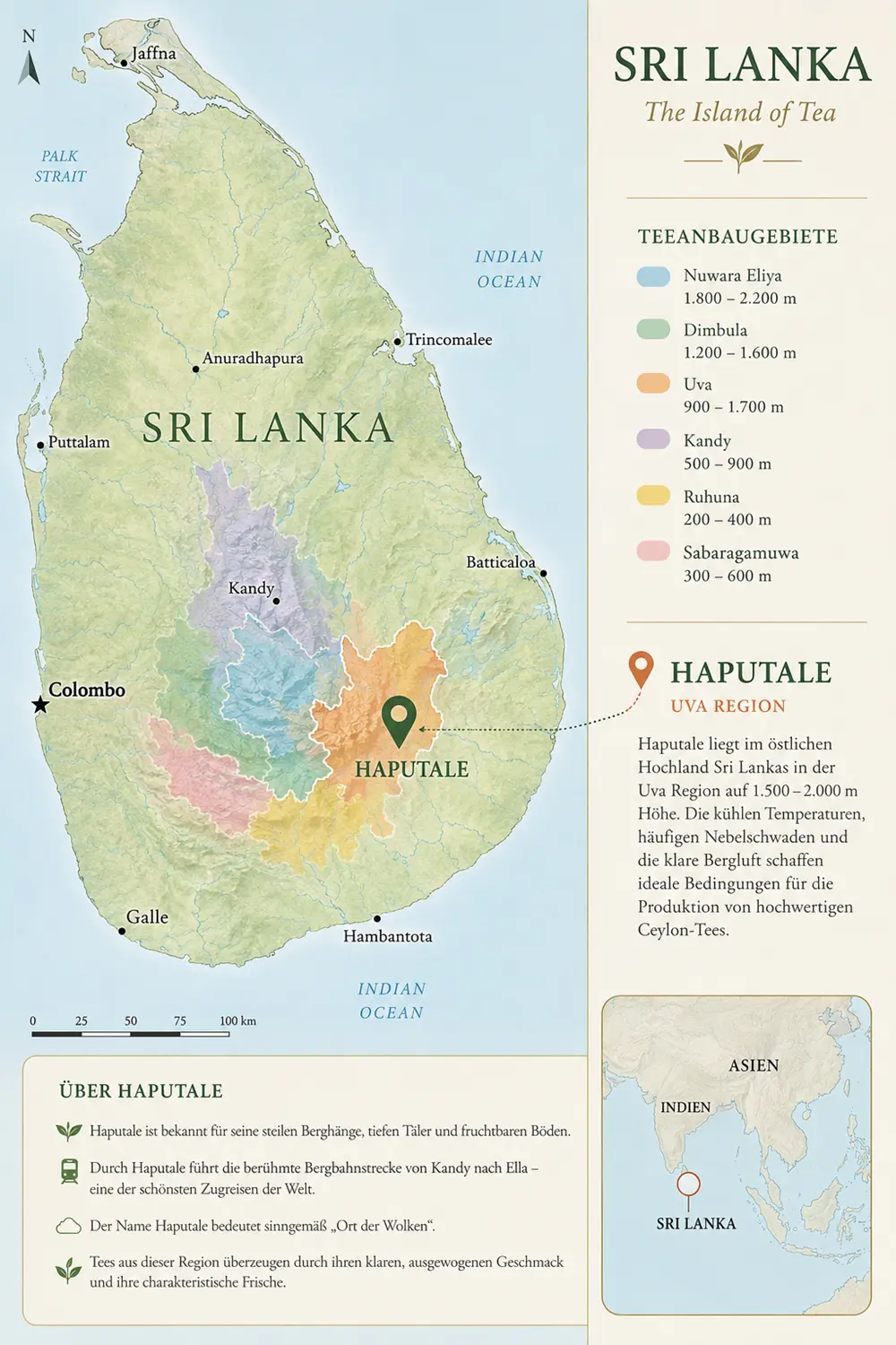 Ceylon: Haputale Higland, Bio (Edler Bio-Schwarztee OP1 - Ausgewogen. Hochland. Charaktervoll.)
