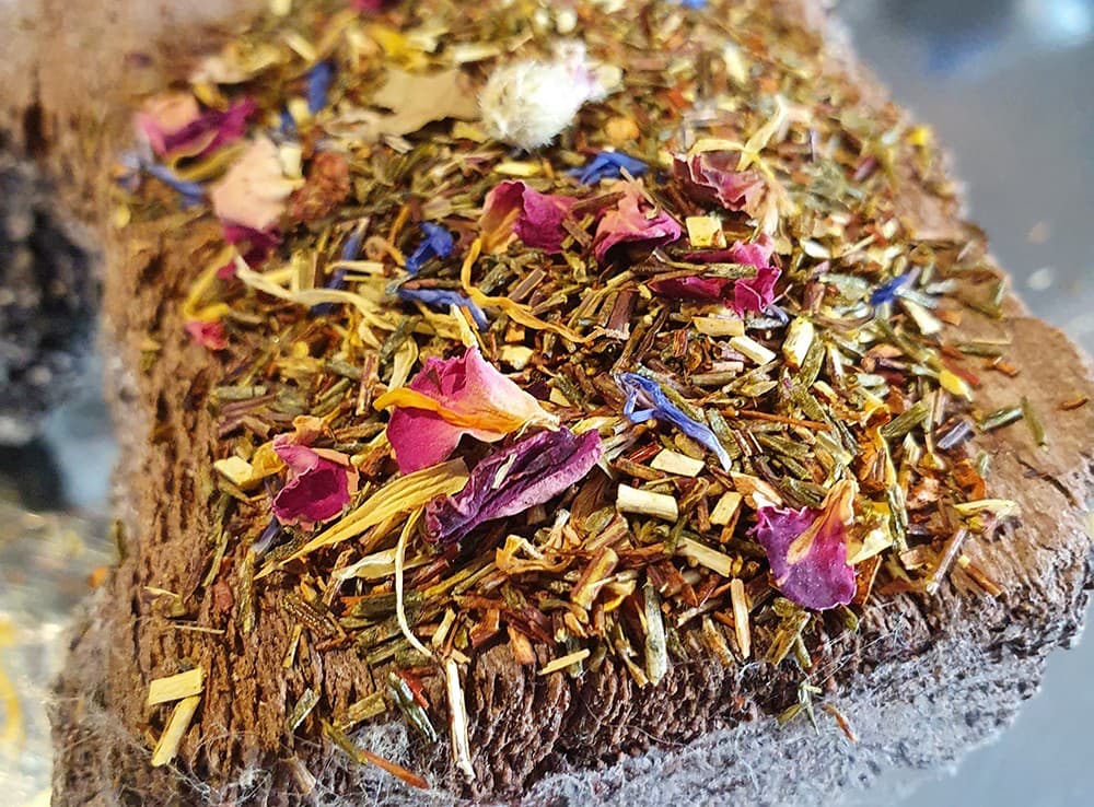 gruener-rooibos-zauber-von-namibia-s