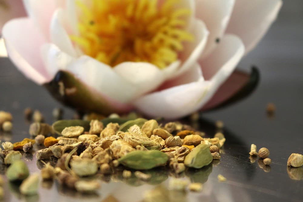 kraeutertee-kapha-s Ayurveda Tee: KAPHA - Ermunternder Tee, 100g (naturbelassen)