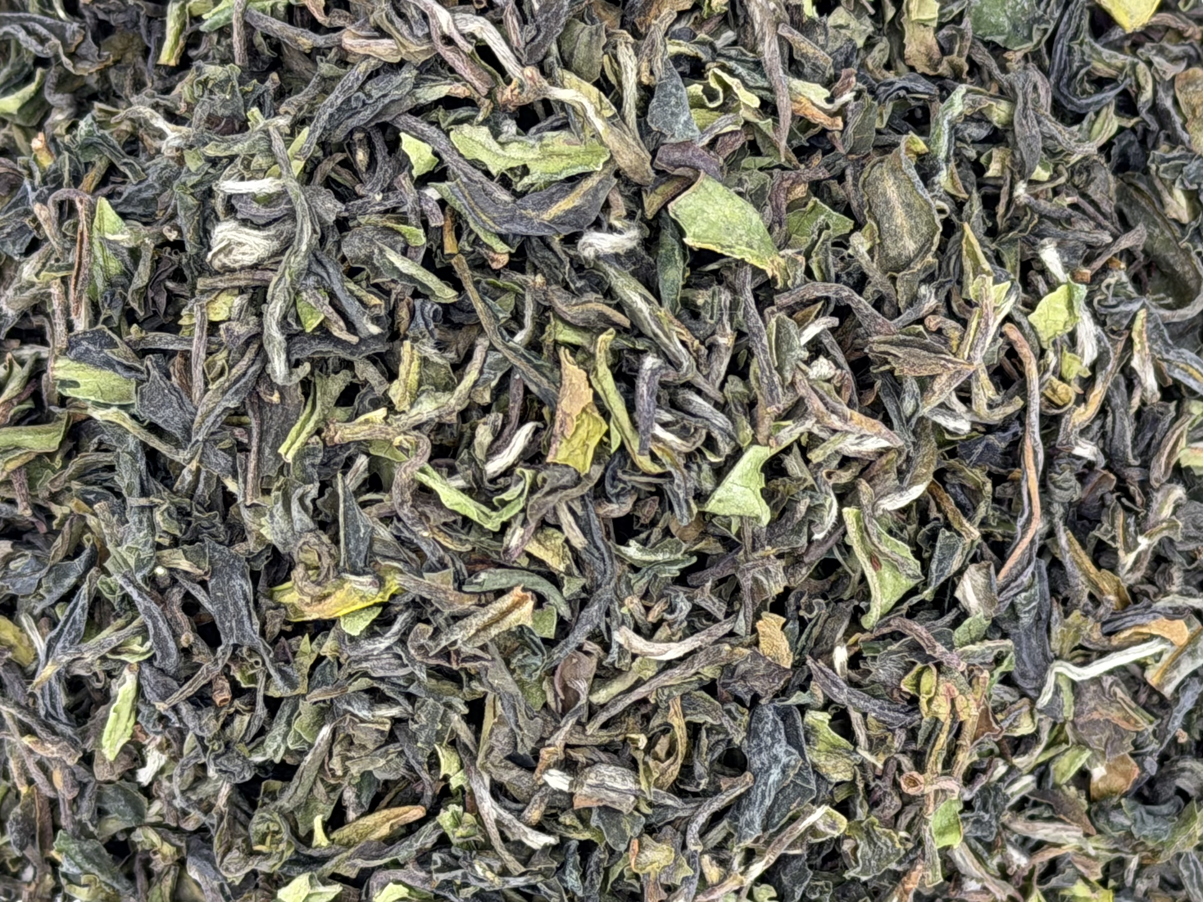 Darjeeling: Flugtee 2026 Selimbong, Bio (FTGFOP1 - DJ2)
