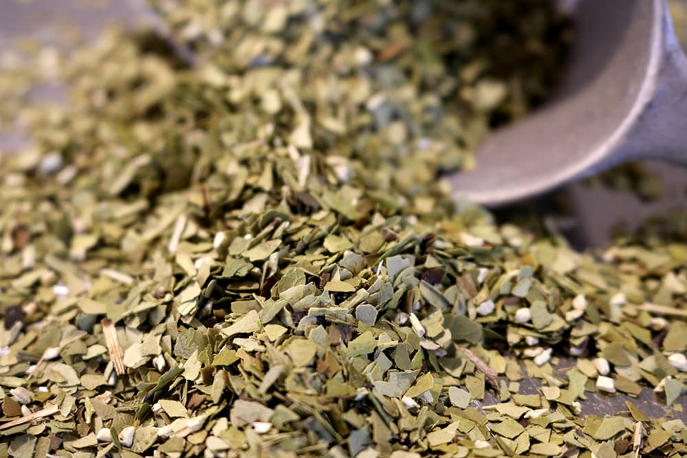 Yerba Mate, Bio, 100g (Naturbelassener Kräutertee von Ronnefeldt)