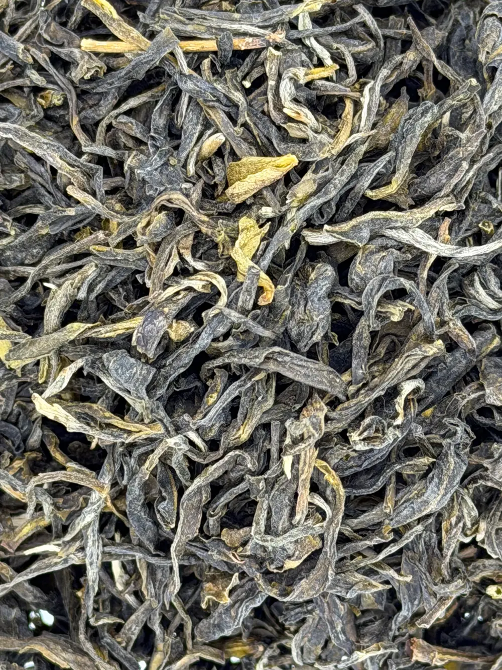 Kolumbien: Bio Colombia Green Emerald (Grüner Tee - Mild. Fruchtig. Kolumbianisch.)